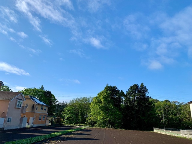 IMG_5496.jpeg