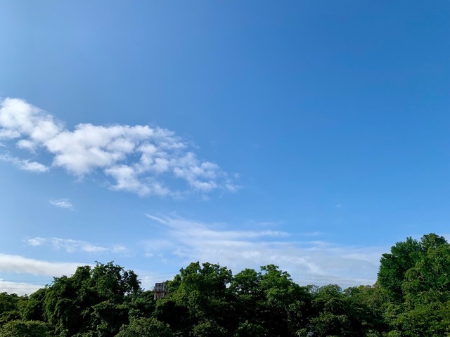 IMG_5594.jpeg