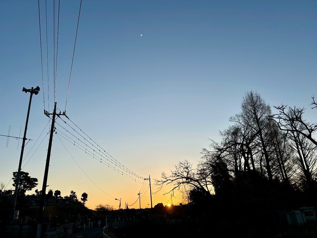 IMG_6513.jpeg